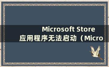 Microsoft Store 应用程序无法启动（Microsoft App Store 错误代码）